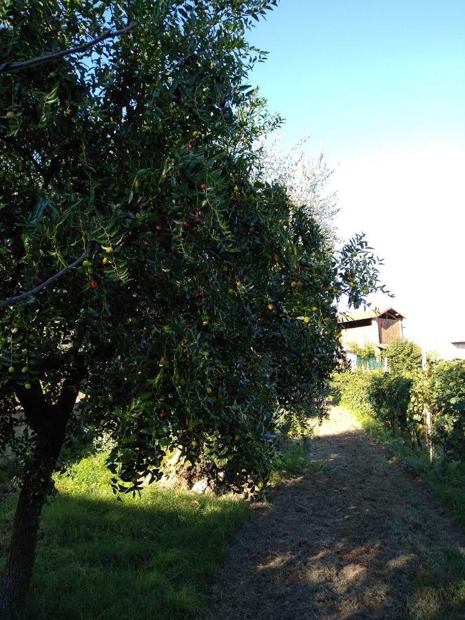 "Country House Il Brolo" Polpenazze del Garda Kültér fotó